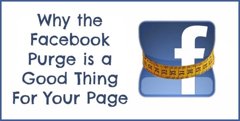 the big facebook purge is a good thing for your business page